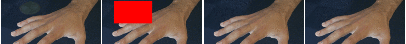 a small gif animation of the hand experiment, the edit domain, a result without handling the double occlusion and the result obtained with occlusion handling